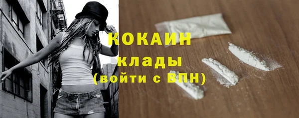 шишки Михайловка