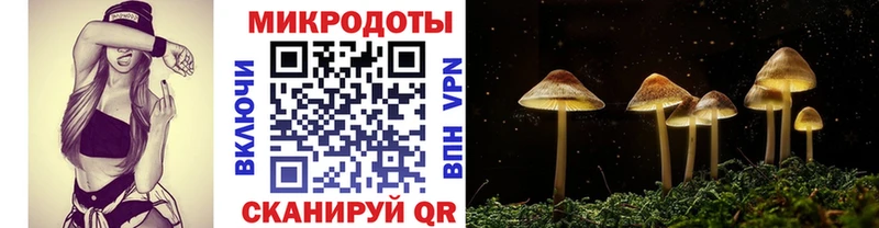 Псилоцибиновые грибы Psilocybe  хочу наркоту  Никольск 